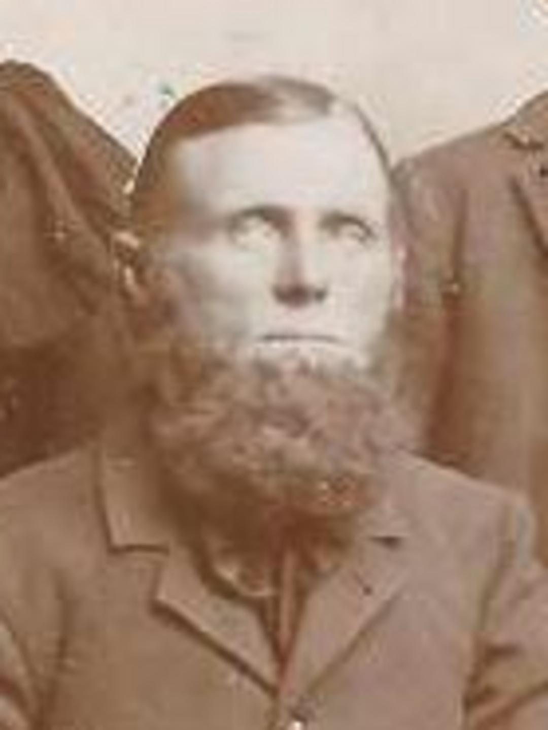 Adolf William Nelson (1846 - 1901) Profile